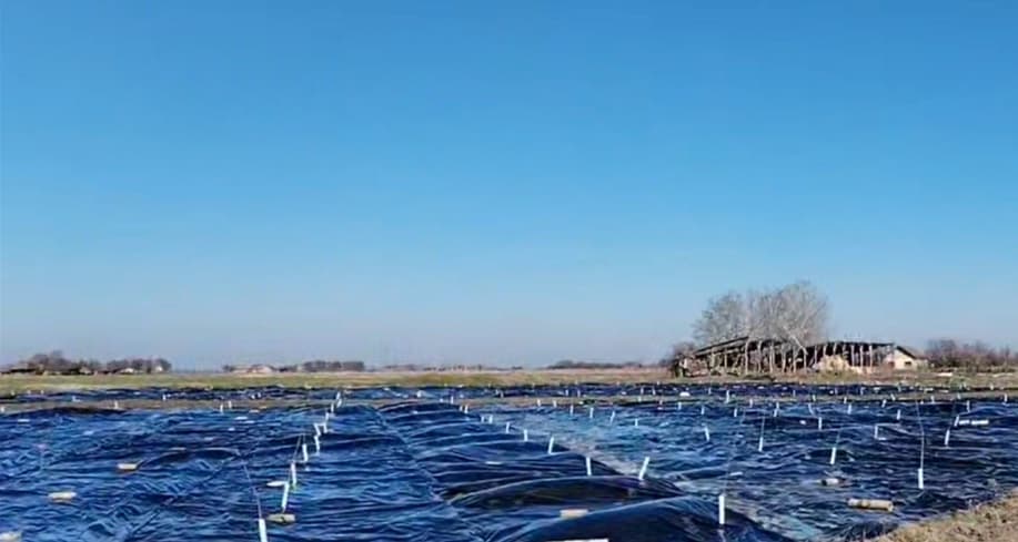 A wide field covered in freshly laid foil with rows of markers