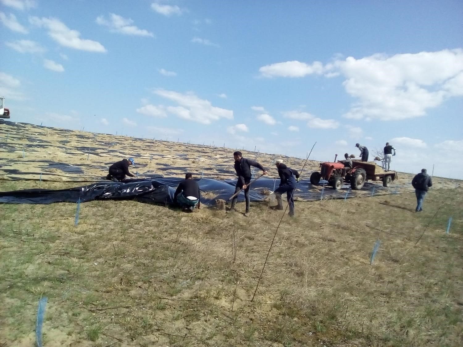 A field crew unrolling black foil across a bare slope, with a tractor behind them