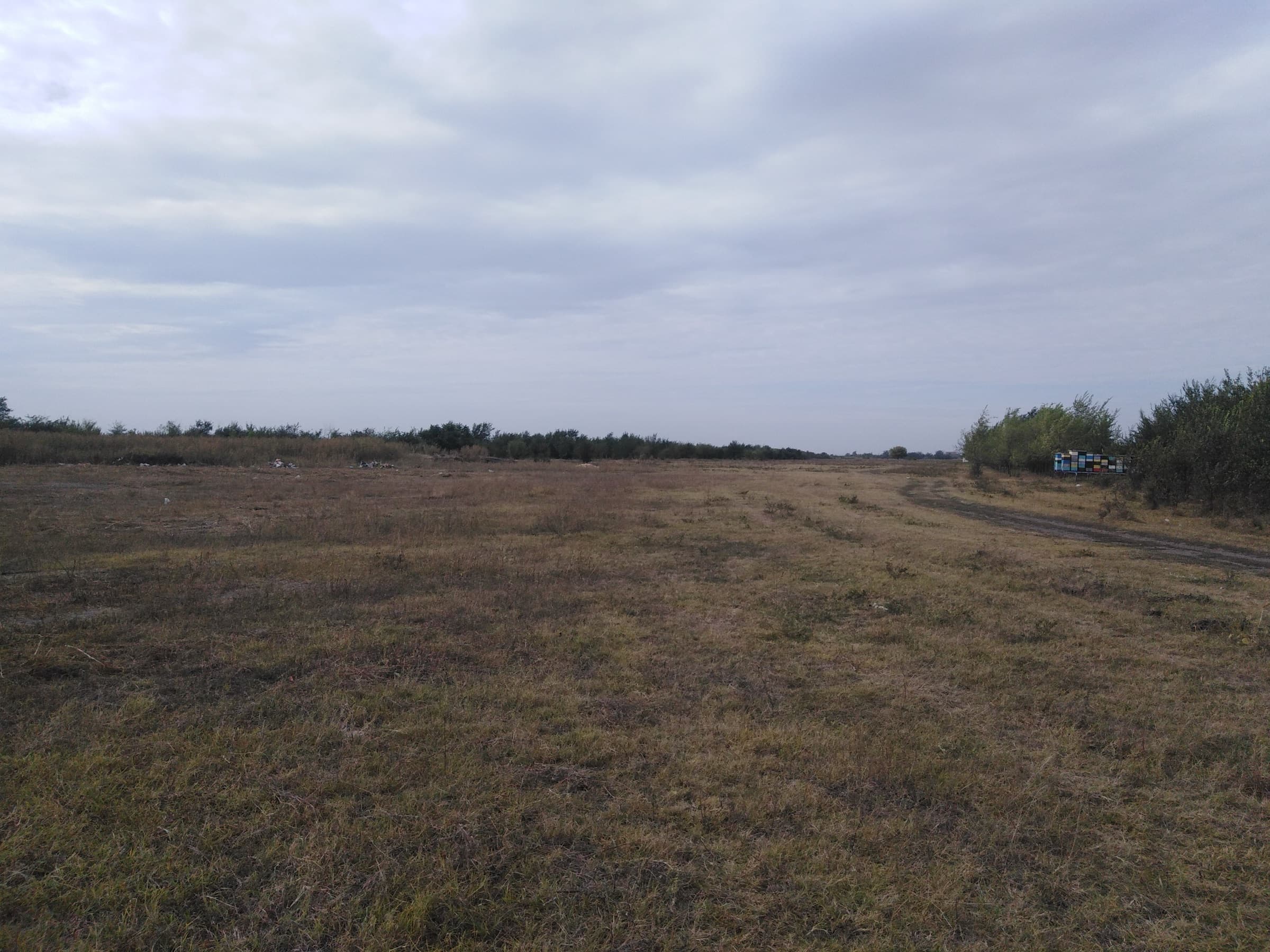 Flat, bare and dry grassland under a grey sky