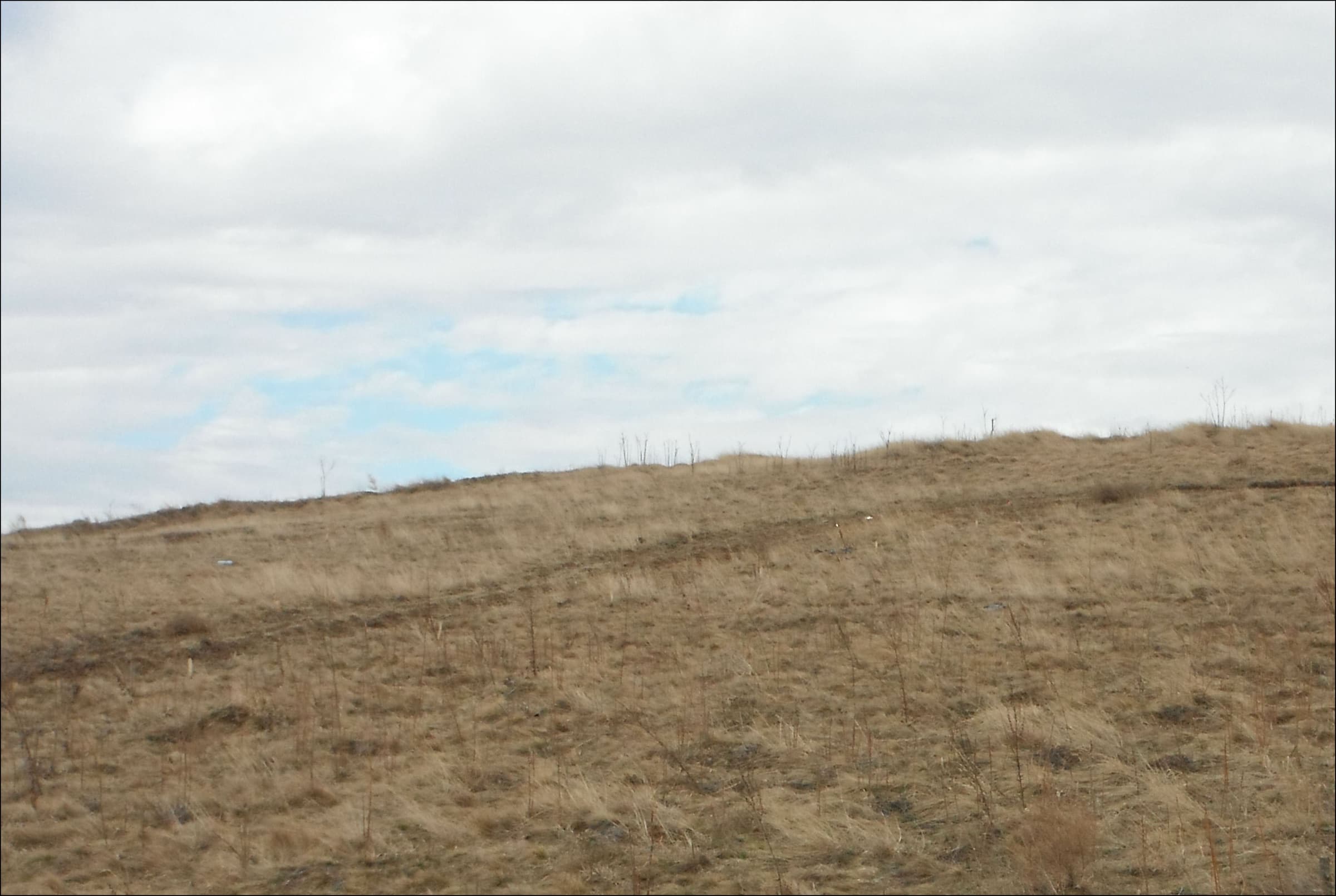 A bare, dry grassy slope under a cloudy sky