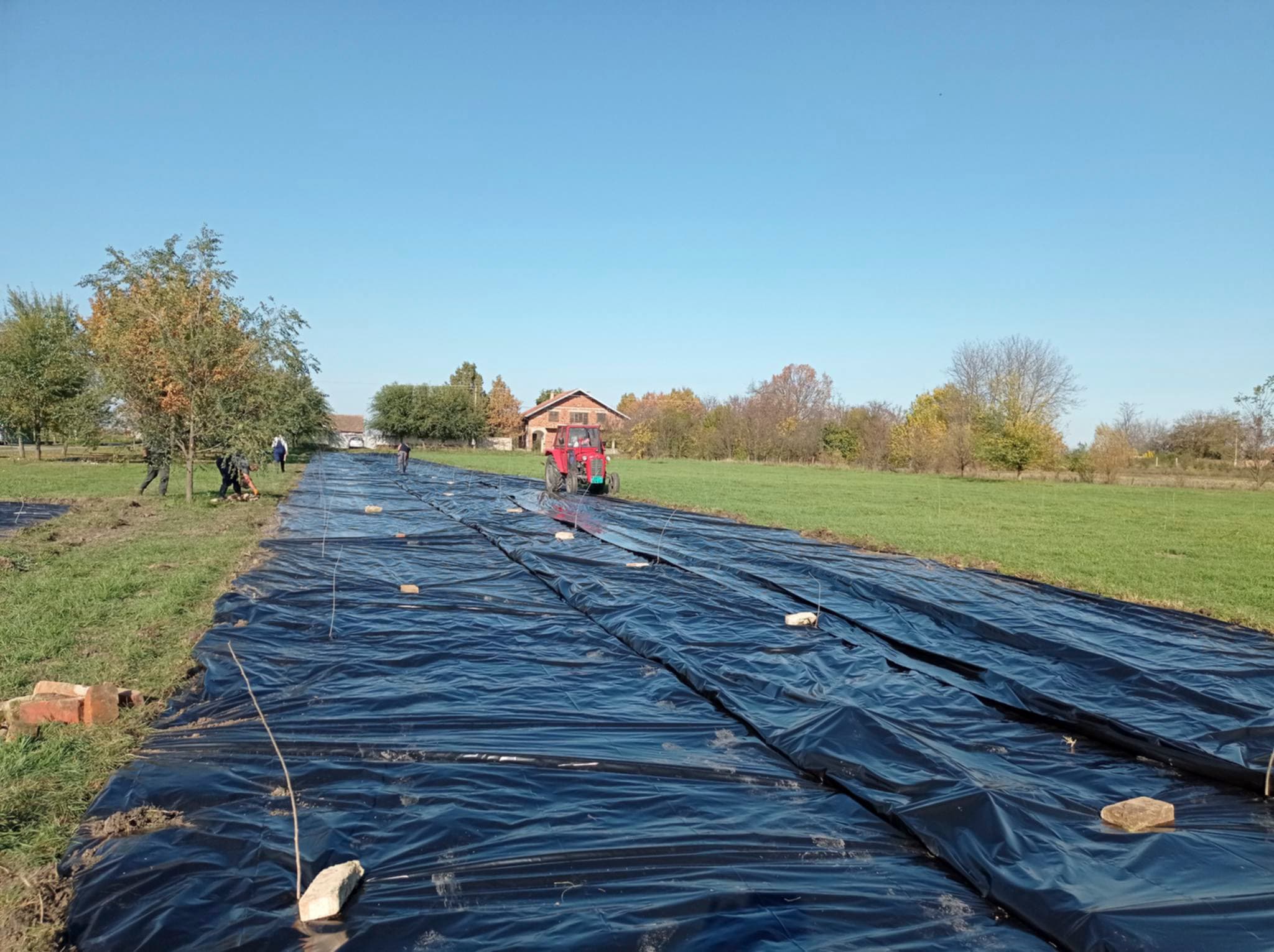 Workers laying long strips of black foil across a flat field